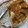 El cooksnap de raquel260116 cuando hizo Tarta cheesecake de galletas Lotus (sin lactosa, sin huevo y sin horno 💃💃).