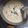 Cooksnap dari Wahyu Ikha untuk resep Creamy Mushroom Sauce