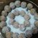 صورة من Fatoom Daqah، شاركها بعد تجربة وصفة حلى تشيز كيك الاوريو البارد🍨🍰🍧🍦🍫