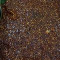 Cooksnap dari ahmad irawanto untuk resep Wajik ketan gula merah