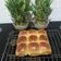 Cooksnap dari Clarissa untuk resep Roti Sobek Isi Choco Crunchy