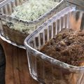Cooksnap dari etha siregar untuk resep Bolu Pisang Kukus (no mix no oven)