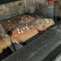 El cooksnap de Cecilia Maria Daviou cuando hizo 🍪Galletas de mantequilla de maní🍪.