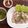 รูป Cooksnap ของ Patchpankit เมื่อเขาทำ ข้าวมันไก่ สิงคโปร์
