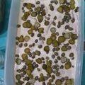 El cooksnap de rominasartirana cuando hizo Vitel toné.