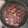 El cooksnap de Melanio Esteban cuando hizo Calamares pequeños (o chipirones) en salsa.