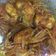 Cooksnap Wardah Alisya semasa beliau membuat Udang masak Sos.