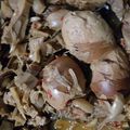 Cooksnap dari irnaindrayati01 untuk resep Gudeg jogja