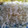 El cooksnap de Jessy cuando hizo Arroz blanco con papas.