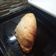 El cooksnap de CLAUDIO LEDESMA cuando hizo Calzone de carne criollo.