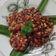 Cooksnap dari Mommy Ardibprinken untuk resep Ampyang Kacang Jahe