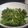 El cooksnap de Becky cuando hizo Chips de Kale sabor a queso con Airfryer, snack saludable.