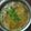 Vijayalakshmi Velayutham's cooksnap of when they made தஞ்சாவூர் ஸ்பெஷல் வெள்ளை சாம்பார் (Vellai sambar recipe in tamil).