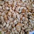Cooksnap dari Sitepu (MamaJo's Kitchen) untuk resep Kacang goreng bawang Air Fryer