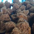Cooksnap dari Titik Isnawati untuk resep Bolu kukus gula merah