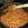 El cooksnap de Antonio Mastache cuando hizo Cochinita pibil.