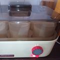 El cooksnap de Arnau Casals cuando hizo Yogur natural en yogurtera.