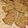 Sonia's cooksnap of when they made Linseed Crackers Vegan/Keto.