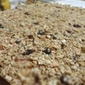 El cooksnap de Yessy Romero cuando hizo Barritas de cereales superhipermega económicas(sin miel).