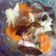 Cooksnap dari Wj Pratiwie untuk resep Sop kimlo dapur ku