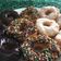 Cooksnap dari gustinads untuk resep Donat Jco KW2 Tanpa Ulen Tanpa Kentang (Resep Termutakhir)