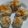 Cooksnap dari Mueza untuk resep Dimsum ayam udang