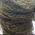 Sneha Patel's cooksnap of when they made પાલક સેવ (Palak Sev Recipe In Gujarati).