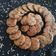 Chhatbarshweta's cooksnap of when they made બાજરીના વડા (Bajri Vada Recipe In Gujarati).