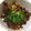 fobe18's cooksnap of when they made Crock Pot Honey Sesame Chicken.