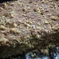 El cooksnap de Isa Machado cuando hizo Torta de naranja con harina de avena en licuadora aprendiendo.
