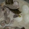 Cooksnap dari Ang Gie untuk resep Opor Ayam Mudah