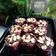 Cooksnap dari Ani Barlin untuk resep Choco Muffin yg Nyoklaaatt Bangeett