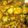 Vandna bosamiya's cooksnap of when they made સૂકી ભાજી (Suki Bhaji Recipe in Gujarati).