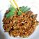 Cooksnap dari Ima Lutfi untuk resep Pampis tongkol kemangi