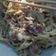 Cooksnap dari NayNay untuk resep Spaghetti Carbonara
