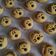 Cooksnap dari Chris Cooks untuk resep Kue kering doggy energen