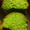 Cooksnap dari Amalia untuk resep Bolu Pandan