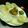 Keya Mandal's cooksnap of when they made ফুলকপি আলুর ডালনা (foolkopi aloor dalna recipe in Bengali).