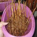 Cooksnap dari Aphrodita RizkiHapsari untuk resep Sate Rembiga (versi 2)