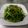 潘俊霖的(簡單料理) 的 清炒蒜香空心菜 cooksnap