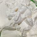 Cooksnap dari Sophie Sally Jakarta untuk resep Buttercream Lembut homemade