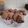 Cooksnap dari dina suzinara untuk resep Bolu Kukus Coklat Super Cepat