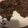 El cooksnap de pedro arancibia manzor cuando hizo Brownie falso Grez, sin horno.