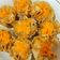 Cooksnap dari Dinar Rysti untuk resep Dimsum Ayam Udang Homemade ✨🥟