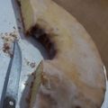 El cooksnap de Beyond cuando hizo Budín de naranja 🍊💭.
