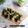 Cooksnap dari Mama fathan untuk resep Pukis PandanLembut