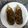 El cooksnap de alexfernandez62 cuando hizo 33. Berenjenas rellenas estilo turco (principal verdura).