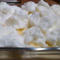 El cooksnap de lotte sanders cuando hizo Leche nevada.