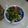 Cooksnap dari Mbak Resty untuk resep oseng-oseng daun kates 
