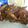 Veroh's cooksnap of when they made Fried sardines (Kata shingo).